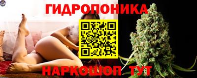 мдпв Партизанск