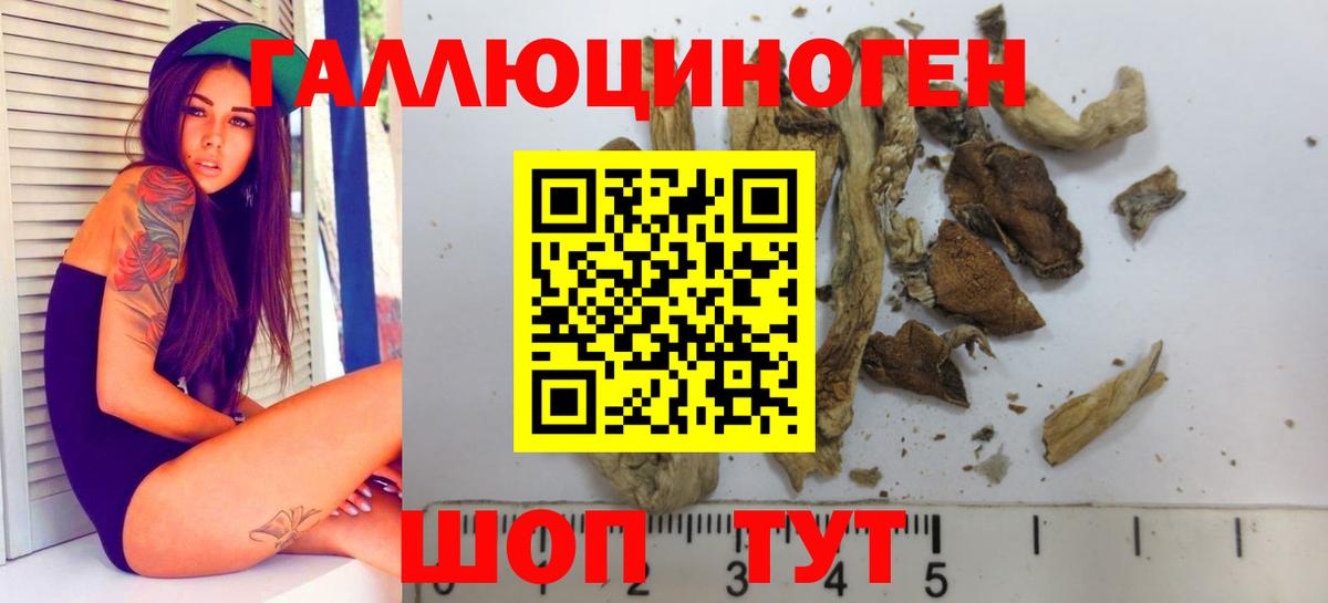 Галлюциногенные грибы Psilocybine cubensis  Вход с VPN  Евпатория  Галлюциногенные грибы мицелий 